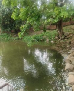 WhatsApp Image 2025-09-23 at 1.59.29 PM (1)